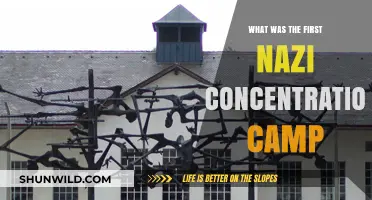 The Origins of Nazi Terror: Dachau, the First Concentration Camp