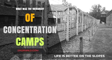Understanding the Complex Hierarchy of Nazi Concentration Camps