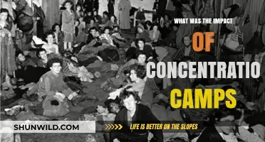 Concentration Camps: Devastating Impact on Humanity and History