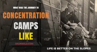 The Harrowing Journey to Concentration Camps: A Survivor's Perspective