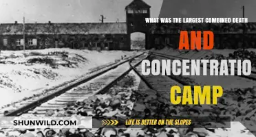 Auschwitz-Birkenau: The Deadliest Nazi Concentration and Death Camp