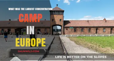 Unveiling Auschwitz-Birkenau: Europe's Largest Concentration Camp's Dark History