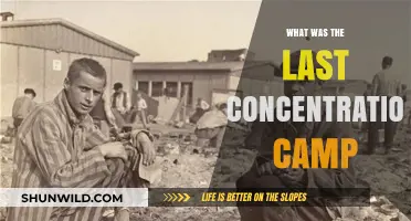 The Final Liberation: Exploring the Last Concentration Camp's Closure