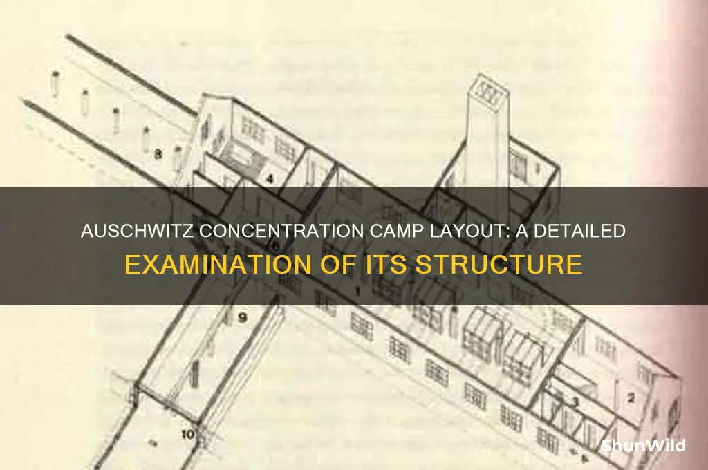 what was the layout of nazi concentration camp auschwitz