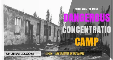 Unveiling the Deadliest Concentration Camp: A Historical Analysis of Terror