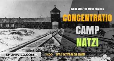 Auschwitz: The Infamous Nazi Concentration Camp and Its Dark Legacy