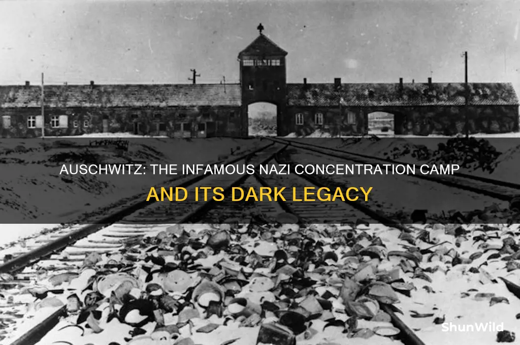 what was the most famous concentration camp natzi