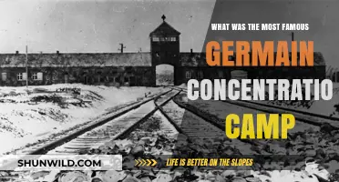 Auschwitz: The Infamous Nazi Concentration Camp in German-Occupied Poland