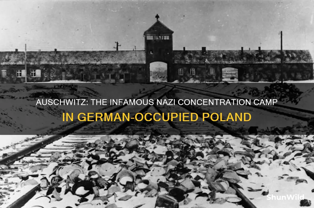 what was the most famous germain concentration camp
