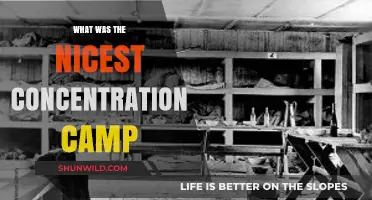 Exploring the Myth of 'Humane' Concentration Camps: A Critical Analysis