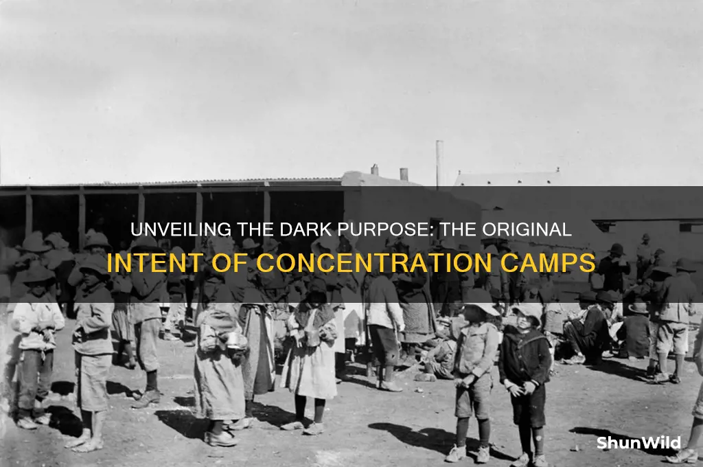 what was the original intent of the concentration camps