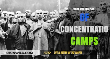 Understanding the Dark Purpose of Concentration Camps in History