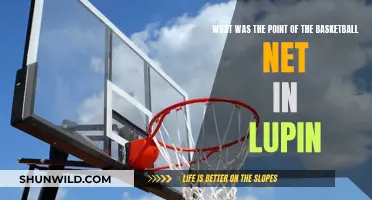 The Basketball Net's Role in Lupin Explained