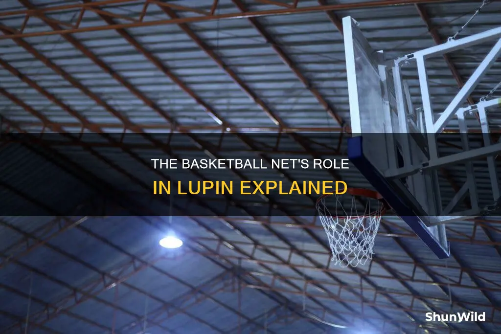 what was the point of the basketball net in lupin