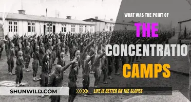 Understanding the Dark Purpose of Concentration Camps: A Historical Analysis