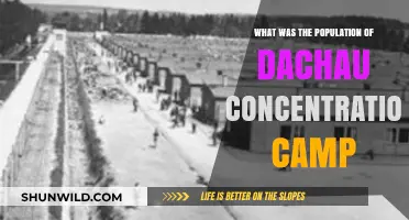 Dachau Concentration Camp: Uncovering Its Population and Dark History