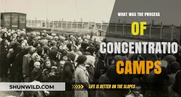 The Systematic Process of Concentration Camps: A Historical Overview