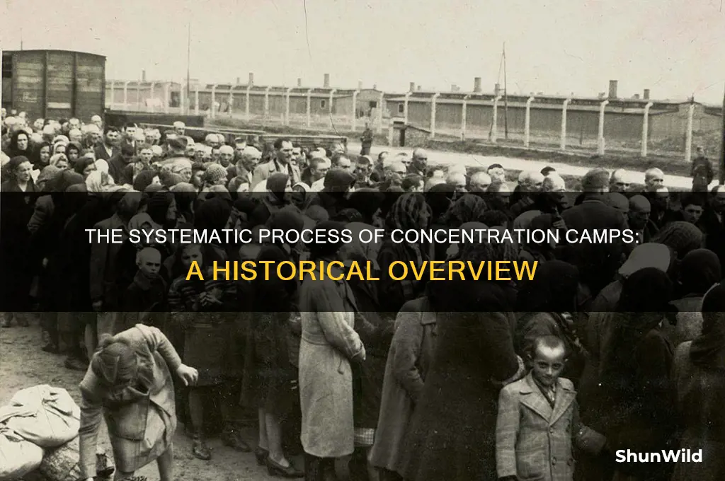what was the process of concentration camps