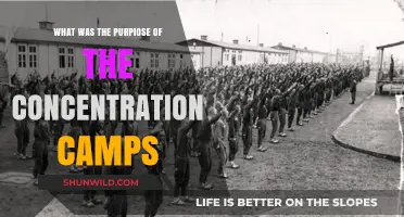 Understanding the Dark Purpose of Concentration Camps in History