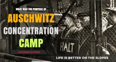 Auschwitz: Uncovering the Dark Purpose of a Nazi Death Camp