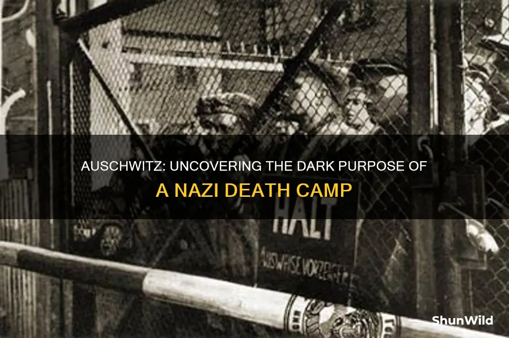 what was the purpose of auschwitz concentration camp