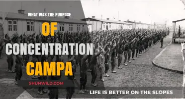 Understanding the Dark Purpose of Concentration Camps in History