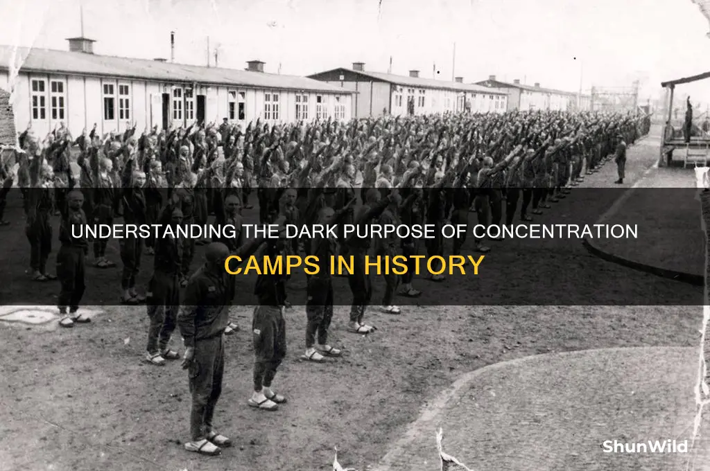 what was the purpose of concentration campa