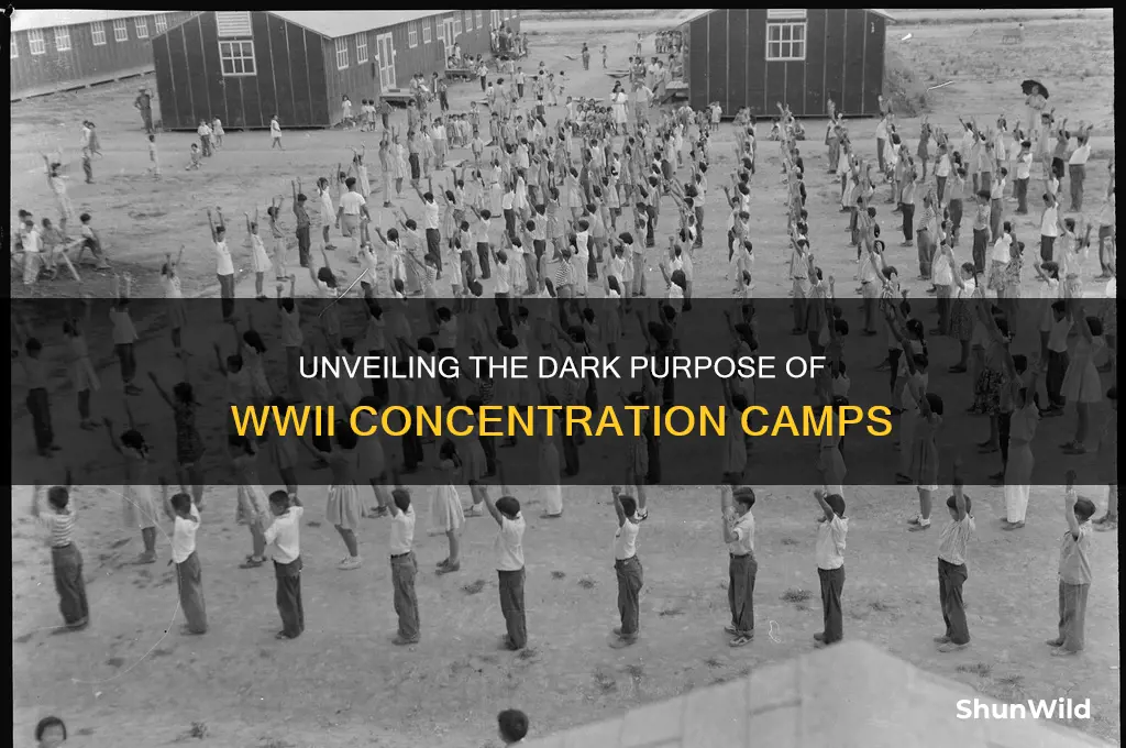 what was the purpose of concentration camps in ww2