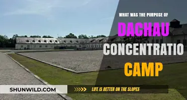 Dachau Concentration Camp: Uncovering Its Dark Purpose and Legacy