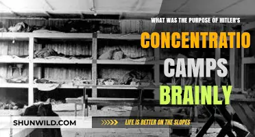 Hitler's Concentration Camps: Uncovering the Dark Purpose Behind the Atrocities