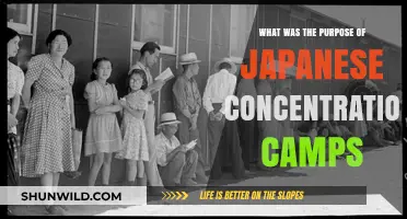 Unveiling the Dark Purpose of Japanese Concentration Camps