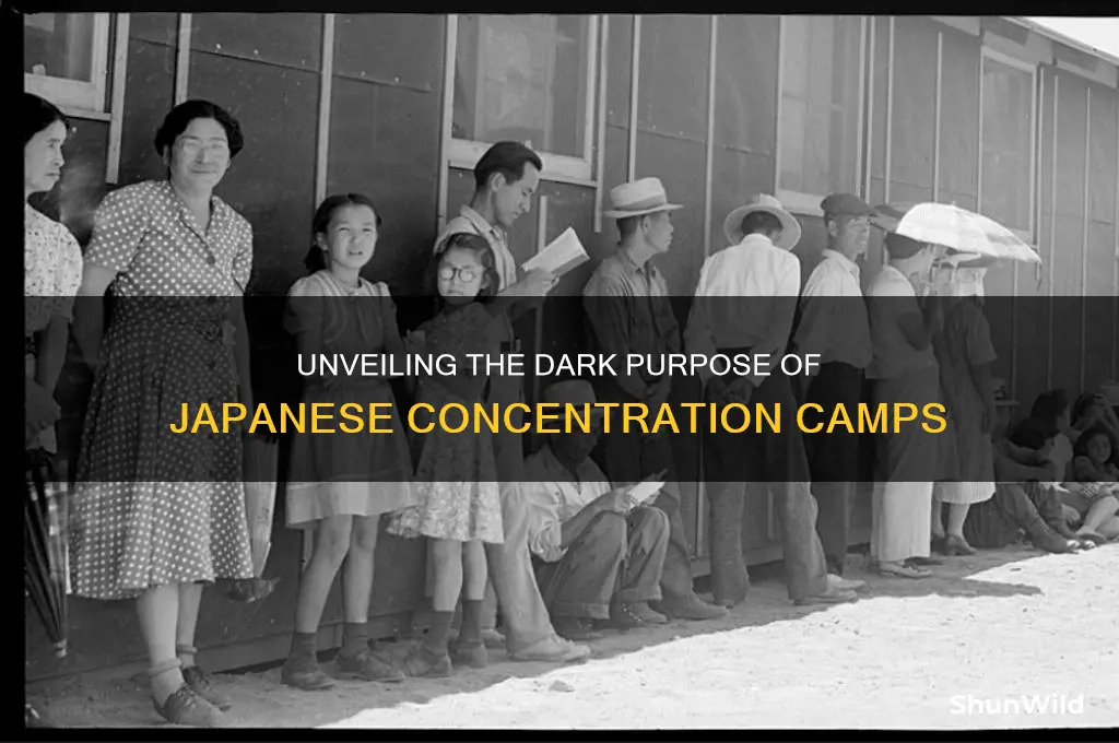 what was the purpose of japanese concentration camps