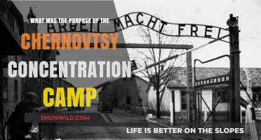Chernovtsy Concentration Camp: Uncovering Its Dark Purpose and History