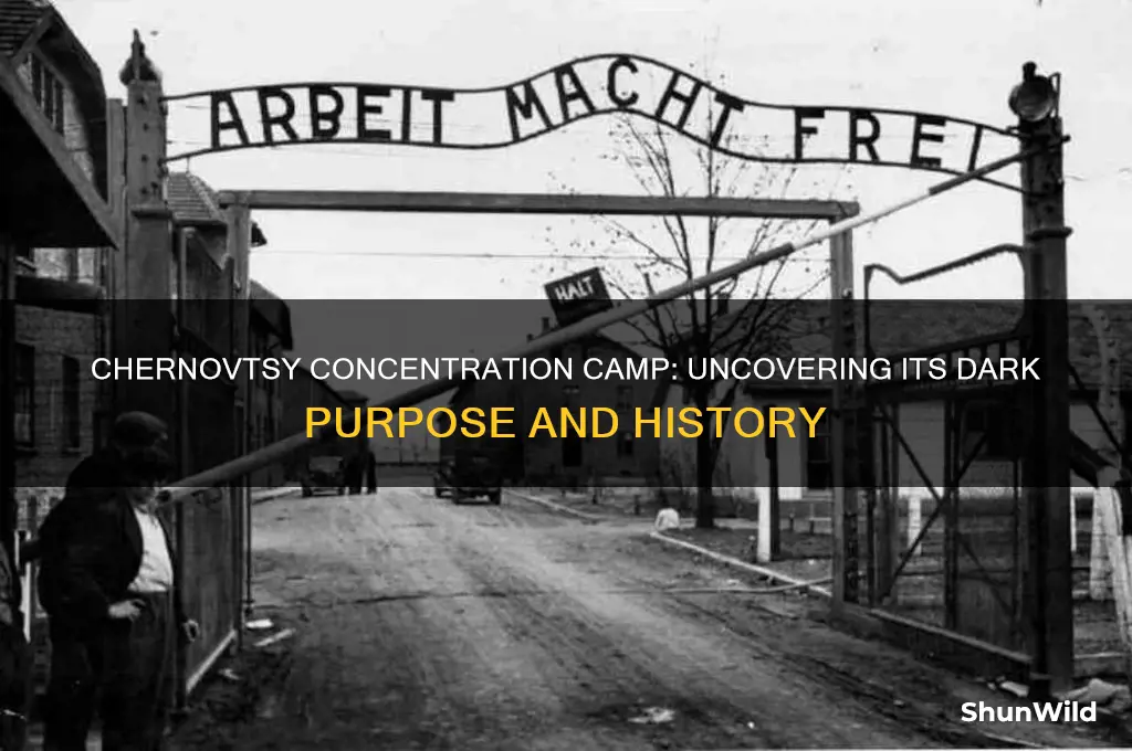 what was the purpose of the chernovtsy concentration camp