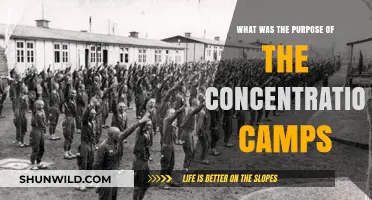Unveiling the Dark Purpose of Concentration Camps: A Historical Analysis