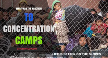 Global Outrage and Horror: Reactions to Concentration Camp Revelations