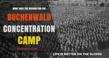 Buchenwald Concentration Camp: Uncovering the Dark Purpose Behind Its Existence