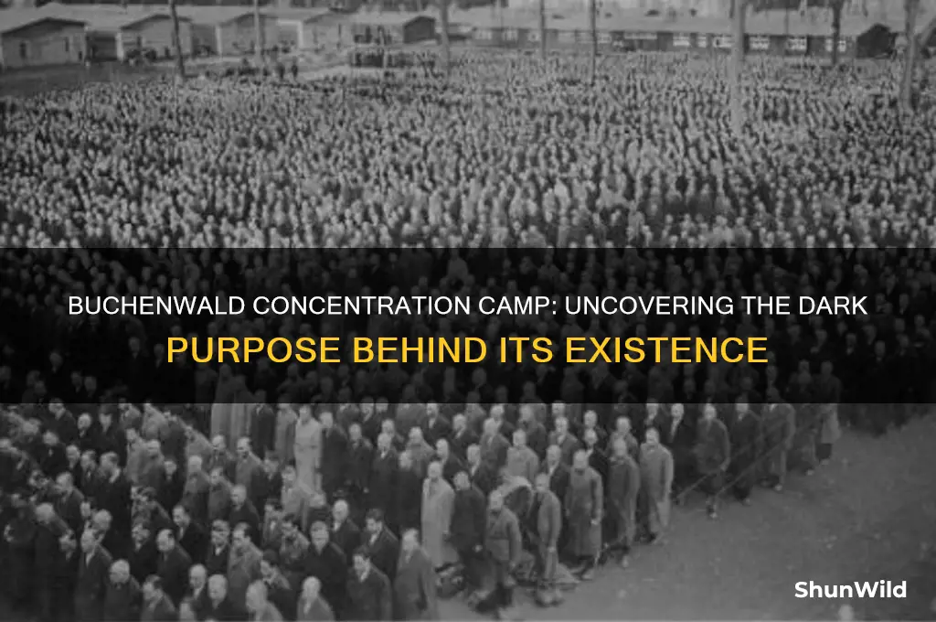 what was the reason for the buchenwald concentration camp