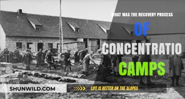 Healing After Horror: The Long Road to Recovery from Concentration Camps