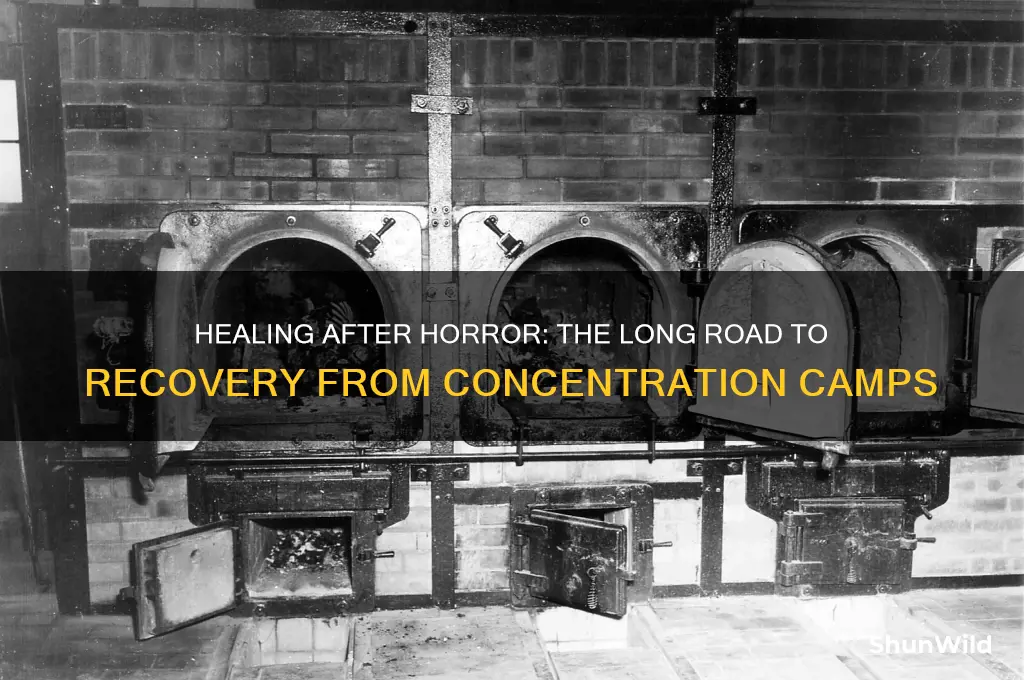 what was the recovery process of concentration camps