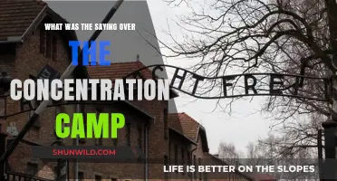 The Haunting Words Above Auschwitz: Unraveling the Concentration Camp's Infamous Sign