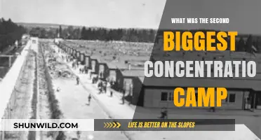 Unveiling the Second Largest Nazi Concentration Camp: A Historical Overview