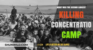 Unveiling the Horrors: The Second Deadliest Nazi Concentration Camp