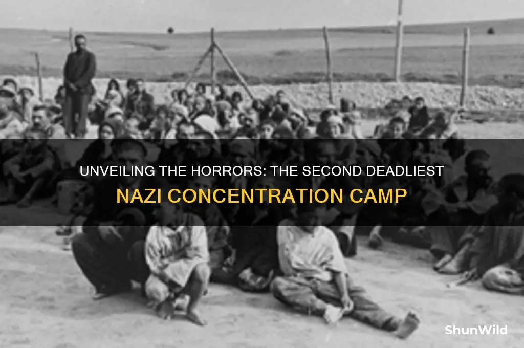 what was the second largest killing concentration camp