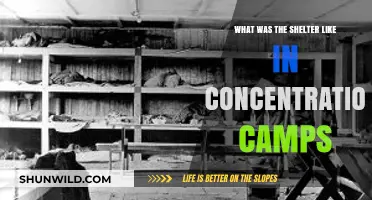 Life in Concentration Camps: The Harsh Reality of Shelters