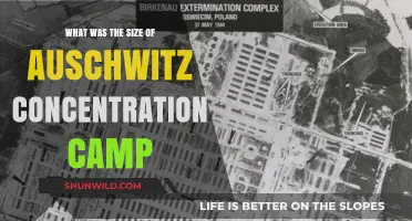 Auschwitz Concentration Camp: Unveiling Its Vast and Horrific Scale