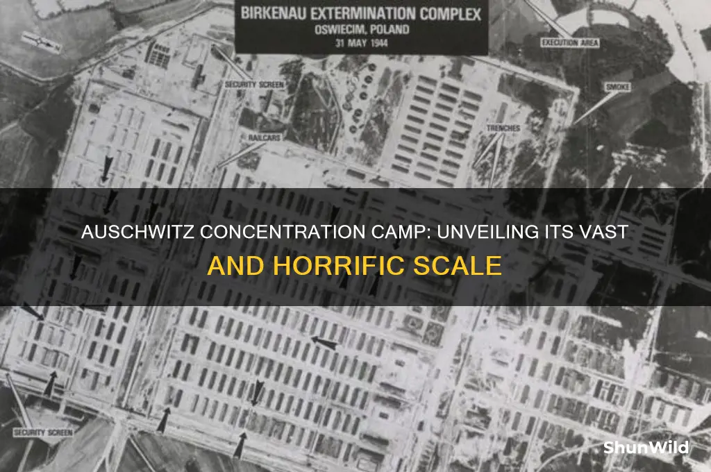 what was the size of auschwitz concentration camp