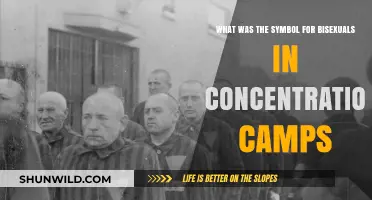 The Forgotten Symbol: Bisexuals' Mark in Concentration Camps
