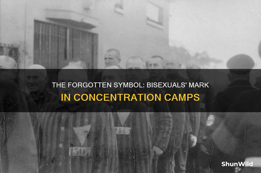 what was the symbol for bisexuals in concentration camps