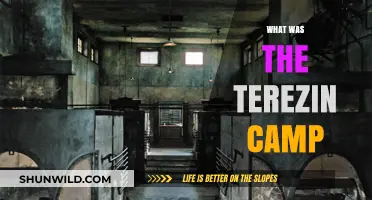 Unveiling the Horrors: A Deep Dive into Terezin Concentration Camp